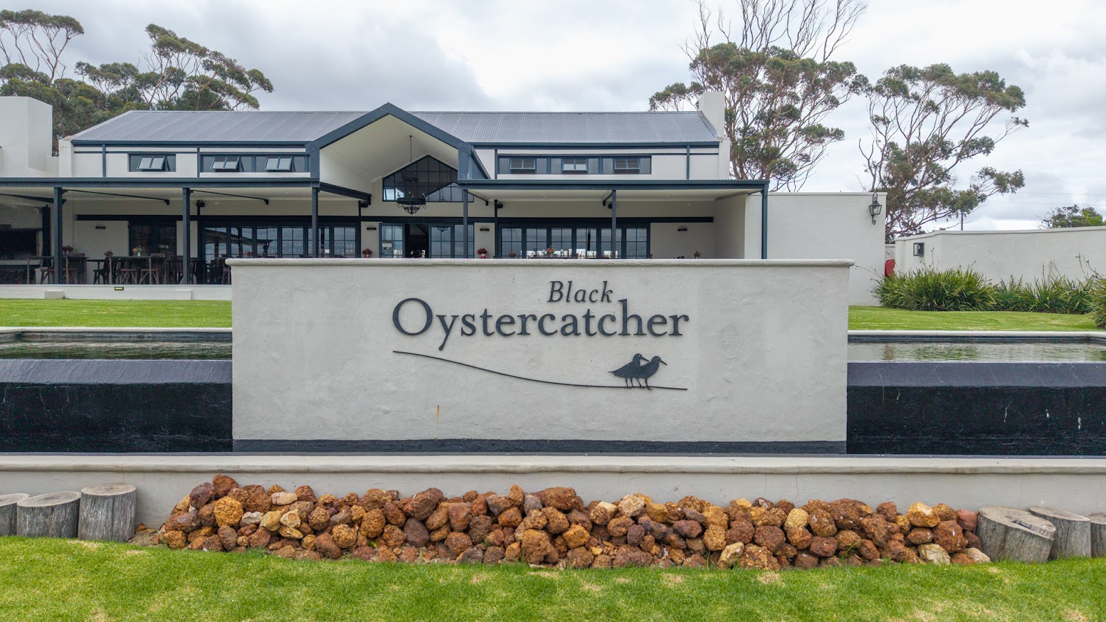 Black Oystercatcher guide imagery